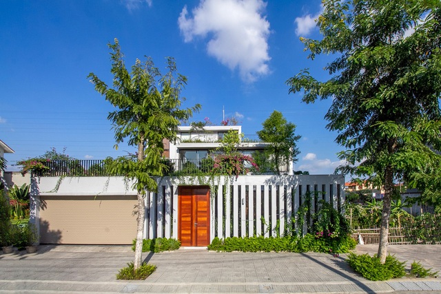 Mãn nhãn với ngôi nhà đẹp như ốc đảo xanh ở Ninh Bình